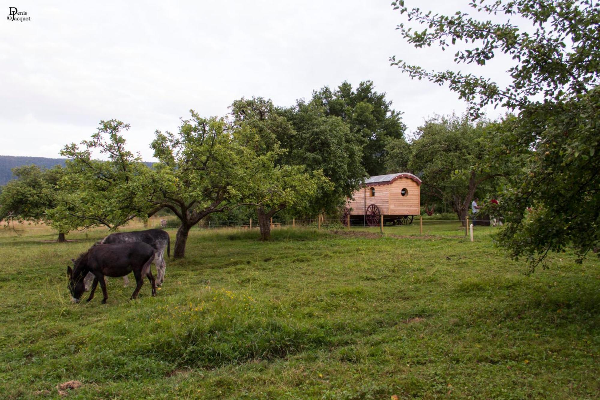 Roulotte Le Temps De Rever Bed and Breakfast Saint-Michel-sur-Meurthe Εξωτερικό φωτογραφία